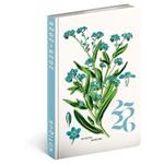 18měsíční diář Petito - Herbář 2025/2026