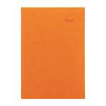 Denní diář 2026  Viva A5 - oranžová